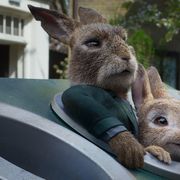 実写版『ピーターラビット』続編、5月に日本上陸!