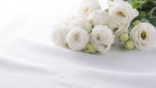 岡江久美子さん、新型コロナで死去　63歳