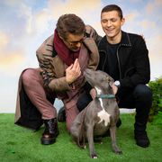 トム・ホランド「僕が犬になるのを見て!」 ロバート・ダウニー・Jr版ドクター・ドリトルのアフレコ映像