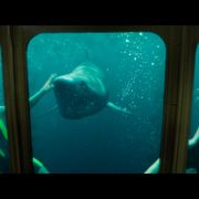 人喰いザメ、女子高生に容赦なし!『海底47m』第2弾、戦慄の本編映像
