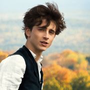 美しすぎる!ティモシー・シャラメに恋しちゃう映画8選