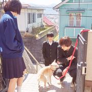 “3兄妹”北村匠海×小松菜奈×吉沢亮と愛犬が集合!『さくら』新カット