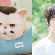 「おじさまと猫」猫の声は神木隆之介!「ノンフィクションさを出せたら」