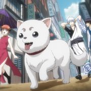 『銀魂 THE FINAL』の裏側!映画化やタイトルの理由、宮脇千鶴監督が明かす