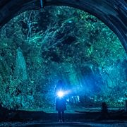 ホラー『犬鳴村』がテレビ放送!興収14億円超のスマッシュヒット作
