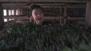 「青天を衝け」お蚕ダンスに反響!メイキング映像Twitterで公開