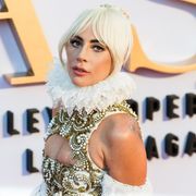 レディー・ガガ、散歩係が銃撃され愛犬2匹を誘拐される