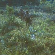 『オノダ(原題)』、第74回カンヌ国際映画祭「ある視点」部門オープニング作品に決定