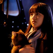 猫のピートが可愛すぎる!『夏への扉』スペシャル映像