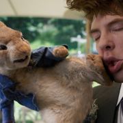 壮絶コメディー『ピーターラビット』、ビアトリクス・ポター財団はまさかの完全サポート