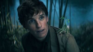 デコボコチームにほっこり…『ファンタビ』第3弾の日本版予告編が公開