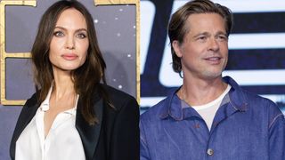 アンジェリーナ・ジョリー、元夫ブラピからのDV詳細明かす ワイナリーめぐり提訴