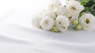 韓国の人気ソプラノ歌手、公演直前に遺体で発見　享年46