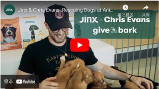 愛犬家の『キャプテン・アメリカ』クリス・エヴァンス、保護犬たちを訪問！