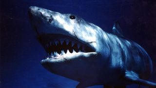 サメ映画の金字塔『JAWS／ジョーズ』シリーズ、3週連続放送！