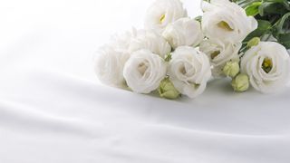 声優・山本圭子さん敗血症のため4月死去 83歳「サザエさん」花沢さん、「ちびまる子ちゃん」山田役など