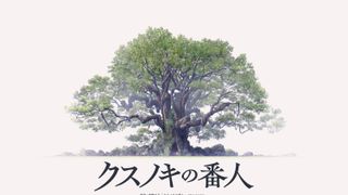東野圭吾作品 A-1 Pictures制作で初のアニメ映画化『クスノキの番人』2026年公開決定