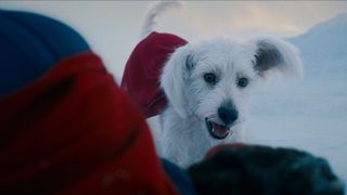 『スーパーマン』暴れん坊クリプト、モデルはジェームズ・ガンの愛犬 噛みつく動きも忠実再現