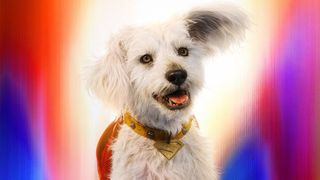 『スーパーマン』犬のクリプト人気がすごい!犬の里親希望が513%増