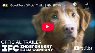 全編犬視点の異色ホラー『Good Boy』予告編公開　飼い主守るワンちゃん、邪悪な存在に立ち向かう