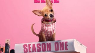 『キューティ・ブロンド』前日譚ドラマ、7月1日に世界配信！