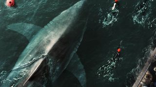 仏サメ映画『セーヌ川の水面の下に』続編始動　ワニ映画『クロール　－凶暴領域－』監督がメガホン