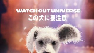 DCユニバース最新作『スーパーガール』最新映像＆スペシャルビジュアル公開