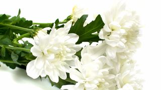 声優・池田昌子さん死去　87歳　メーテル、ヘプバーン吹き替え、ウルトラの母など