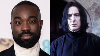 ドラマ版「ハリー・ポッター」新スネイプ俳優に殺害予告