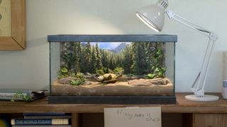 『私がビーバーになる時』にカメのクラッシュ登場！イースターエッグ一挙紹介