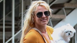 逮捕のブリトニー・スピアーズ、リハビリ施設入り
