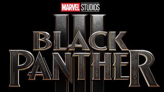 『ブラックパンサー3』2028年12月15日米公開!主演が明らかに