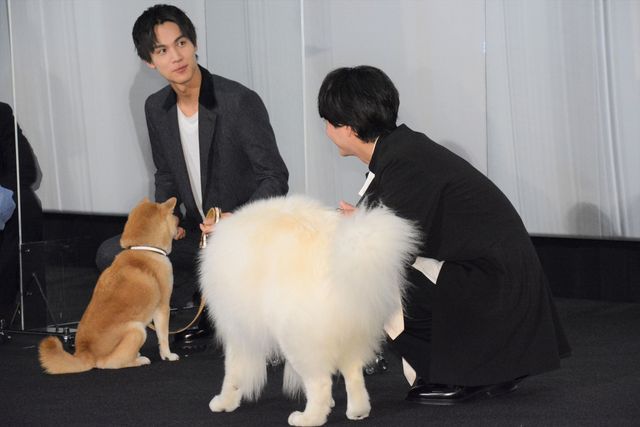 林遣都、中川大志、大原櫻子、浅香航大がキュートな犬たちと登壇！『犬部！』初日舞台あいさつ（8枚目）