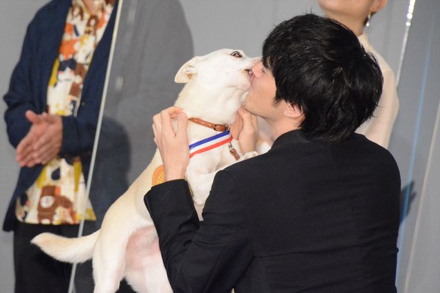 林遣都、中川大志、大原櫻子、浅香航大がキュートな犬たちと登壇！『犬部！』初日舞台あいさつ（10枚目）