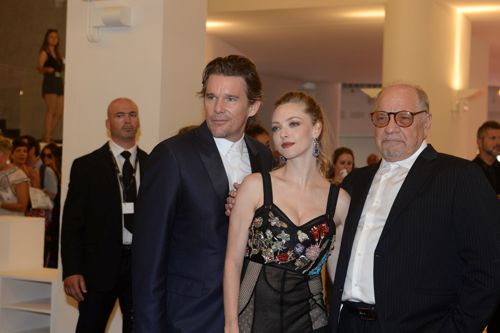 アマンダ・セイフライド、透け感ドレスが超セクシー！イーサン・ホークとレッドカーペット登場！（6枚目）