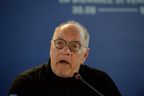 アマンダ・セイフライド、透け感ドレスが超セクシー！イーサン・ホークとレッドカーペット登場！（15枚目）