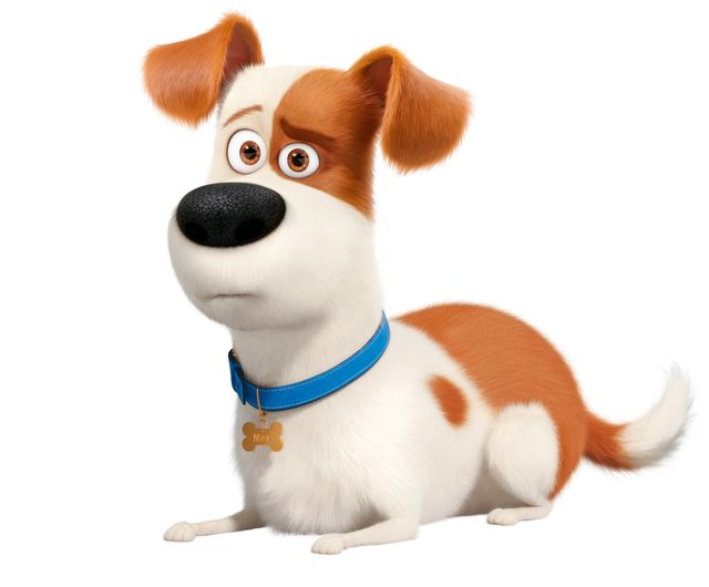 『ペット2』フォトギャラリー:フォトギャラリー