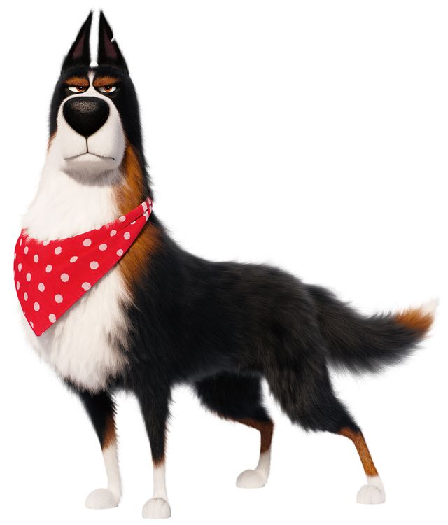 『ペット2』フォトギャラリー（9枚目）