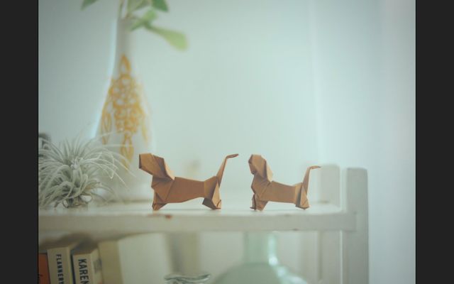 可愛い松岡茉優がいっぱい！（23枚目）