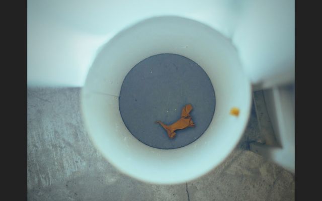 可愛い松岡茉優がいっぱい！（25枚目）