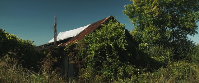 【12枚】男は喰い、女は飼う…カナダ発の食人ホラー『人肉村』（2枚目）