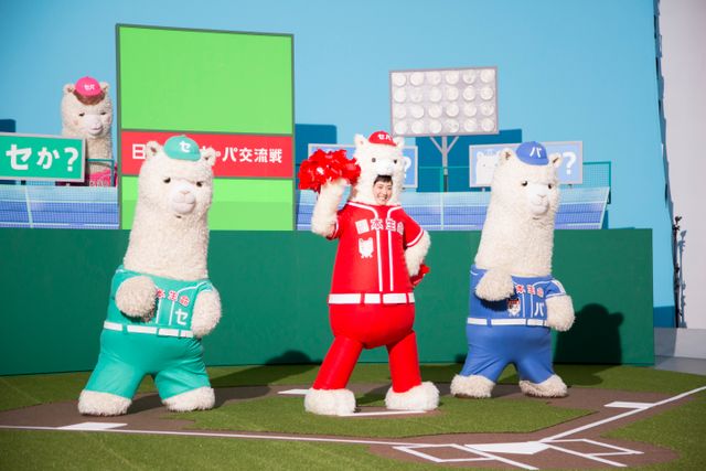 モフモフ！アルパカ姿の綾瀬はるか：フォトギャラリー