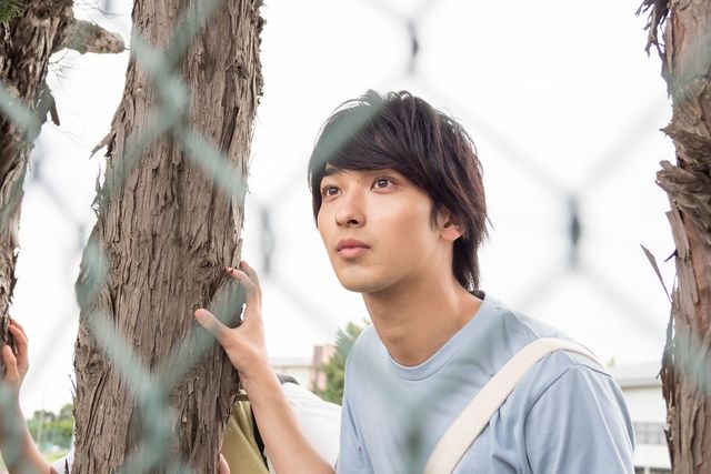 横浜流星の美しい瞳にキュン！『チア男子!!』場面写真＜3枚＞（3枚目）