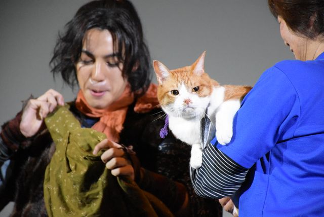 「猫侍」あなごも登場！「猫忍」試写会フォトギャラリー（8枚目）