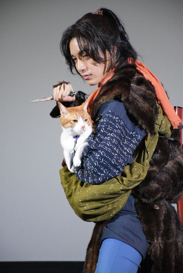 「猫侍」あなごも登場！「猫忍」試写会フォトギャラリー（12枚目）