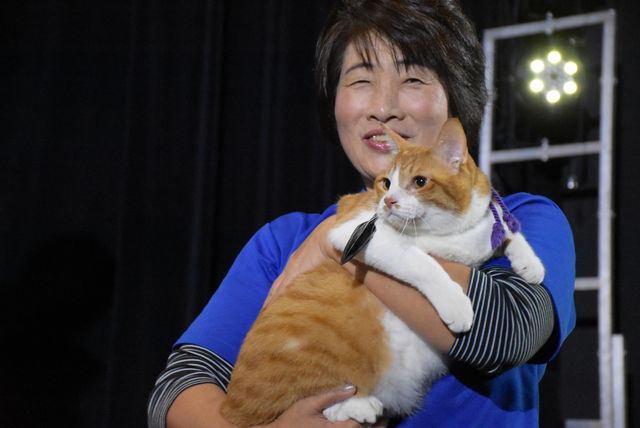 「猫侍」あなごも登場！「猫忍」試写会フォトギャラリー（23枚目）