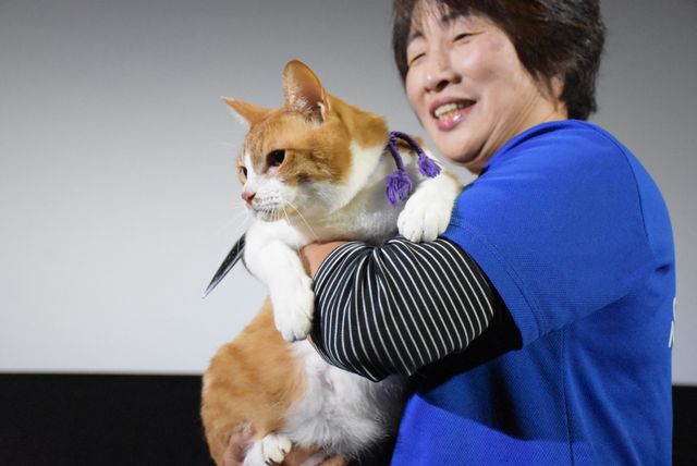 「猫侍」あなごも登場！「猫忍」試写会フォトギャラリー（24枚目）