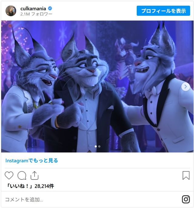 カップルで演じたのはオオヤマネコの兄妹! - 画像はマコーレー・カルキンInstagramのスクリーンショット