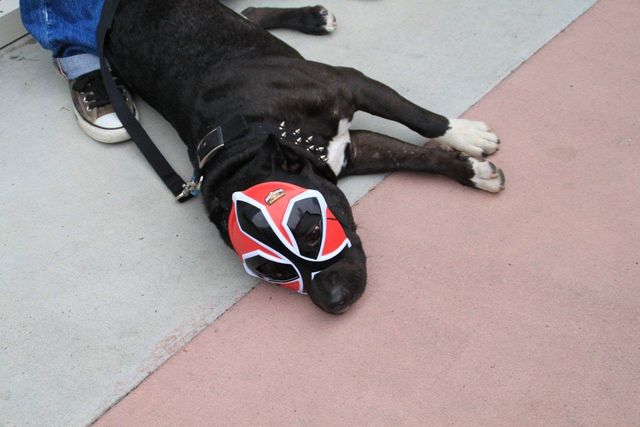 コミコン2012写真ギャラリー Part 1（10枚目）