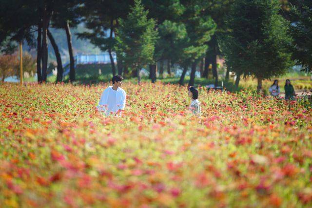 制服姿のアン・ヒョソプ！「いつかの君に」場面写真（3枚目）